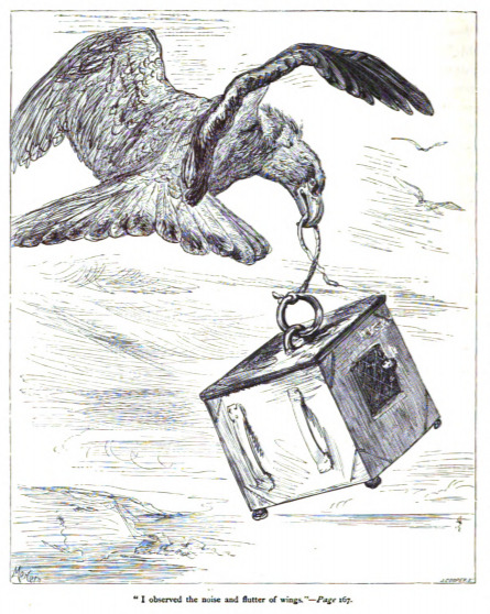 “I observed the noise and flutter of wings.” - Page 167