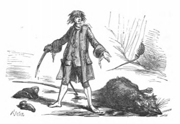[Gulliver stood over the corpse of the rat]