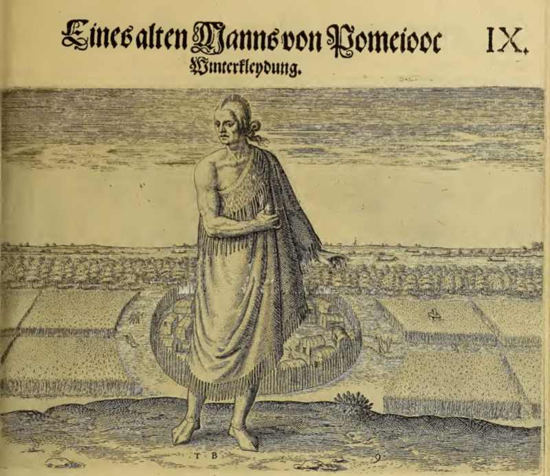 Eines alten Manns von Pomeiooc Winterflendung. IX.