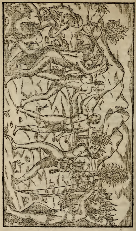 [A group of Tupinambá people take a man captive]