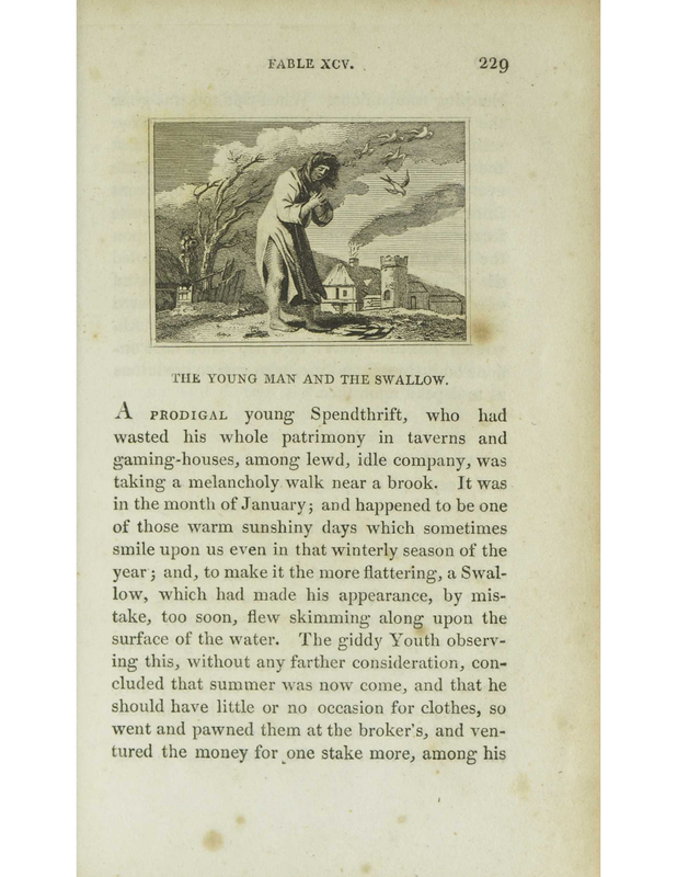 The Young Man and the Swallow