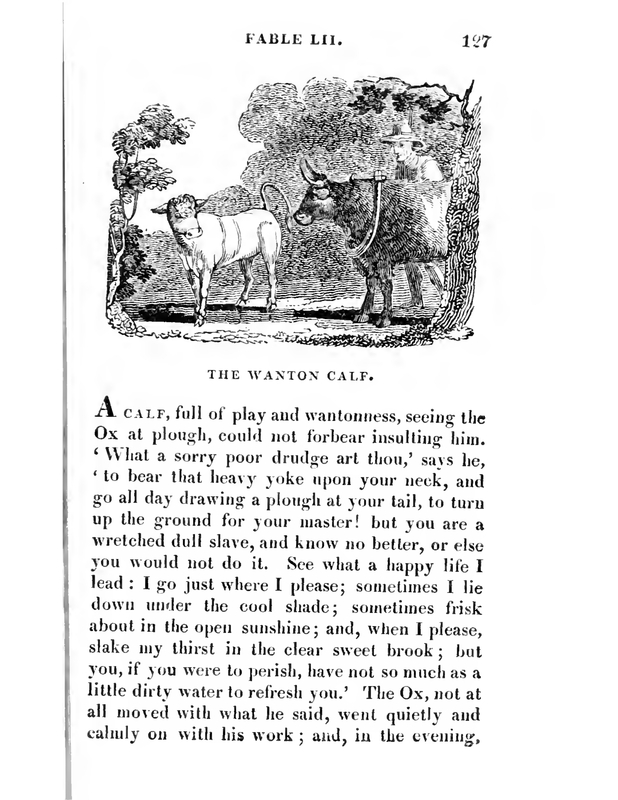 The Wanton Calf