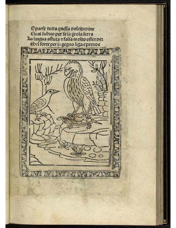 [The Eagle, the Turtle, and the Crow]