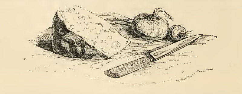 [Bread and Onion]