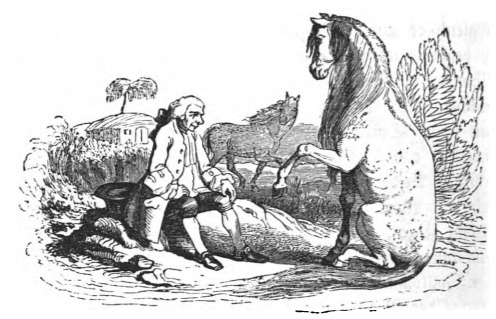 [Gulliver learns the language of the Houyhnhnms]