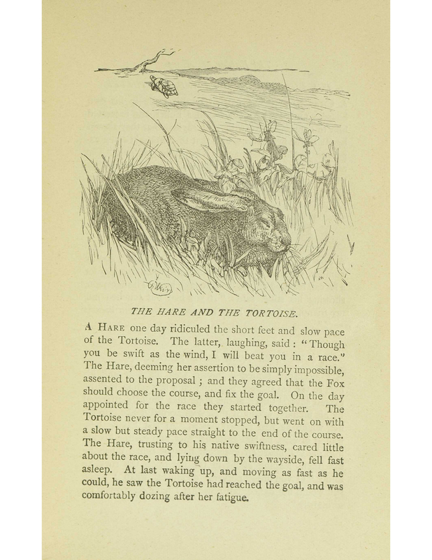 The Hare and the Tortoise