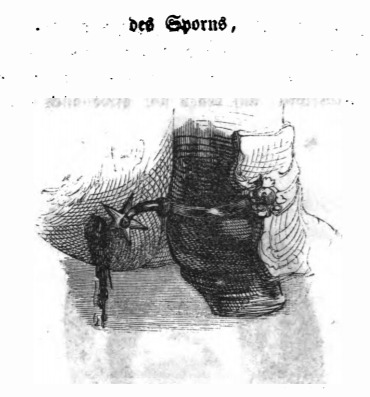 des Sporns