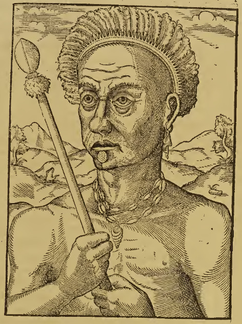 Pourtraict du Roy Quoniambec.