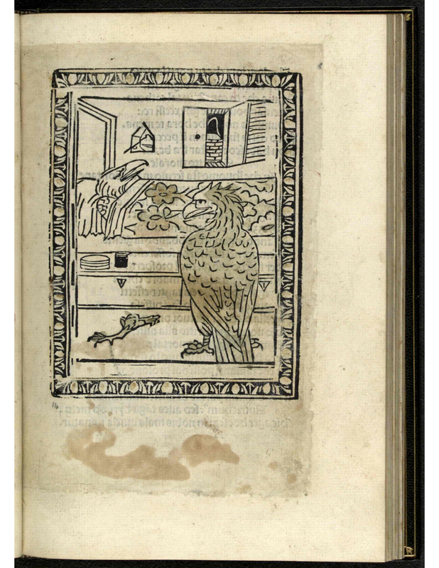 [The Injured Eagle]