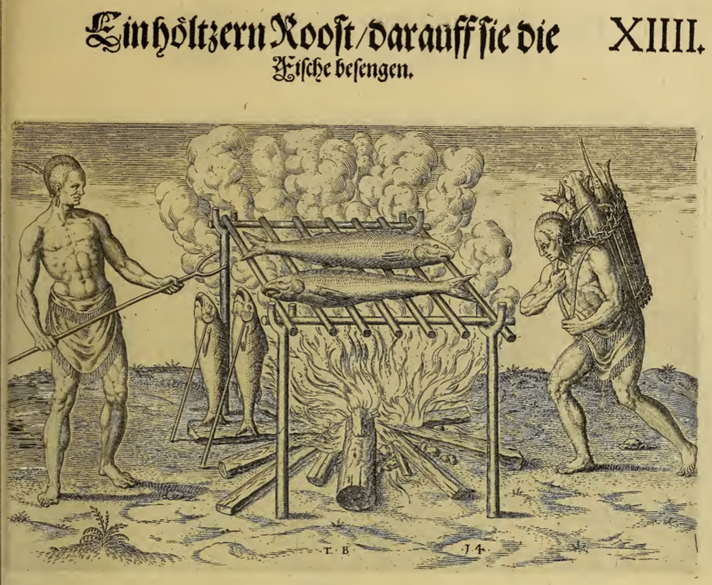 Einhöltzern Roost darauff sie die Fische besengen. XIIII.