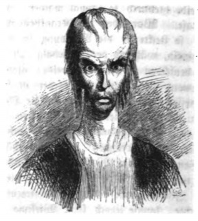 [The universal artist from The Grand Academy on Balnibarbi]