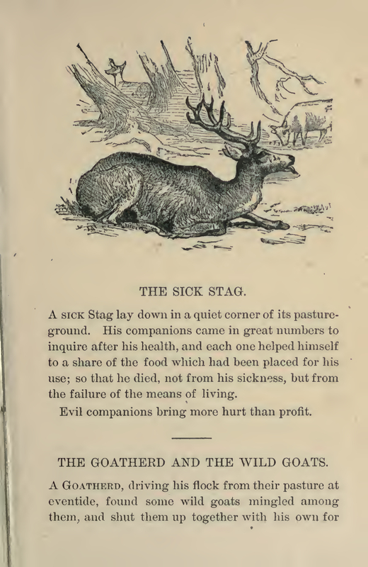 The Stick Stag
