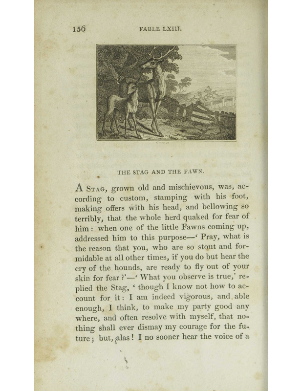 [The Stag and the Fawn]