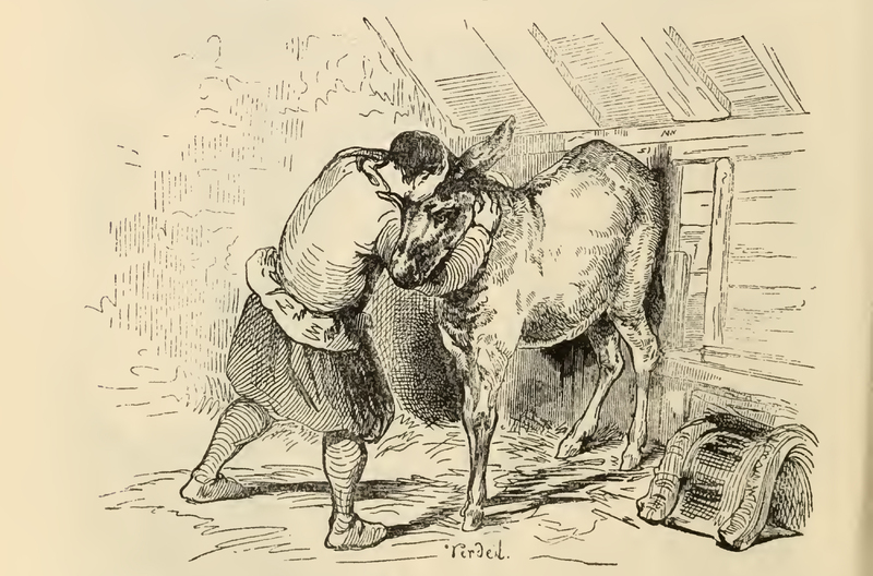 [Sancho Kisses Dapple]