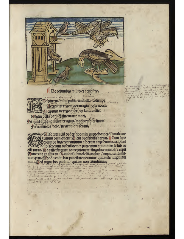 Be columbis miluo et accipitre.