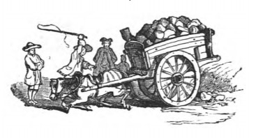 [common horses working pulling a cart]