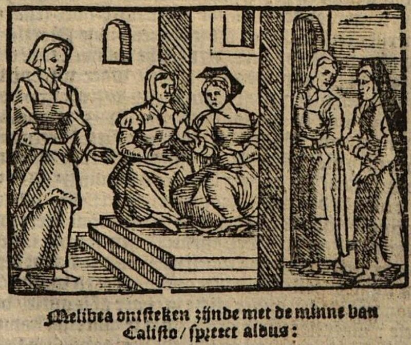 [Act X] Melibea ontsteken zijnde met de minne van Calisto / spreect aldus