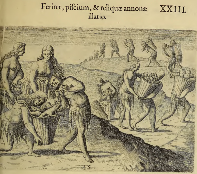Ferinae, piscium, & reliquae annonae illatio. XXIII.