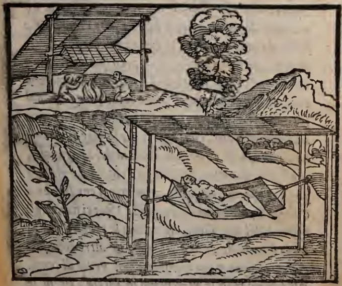 Modo di dormire nel Golfo di Paria, & altri molti luoghi.