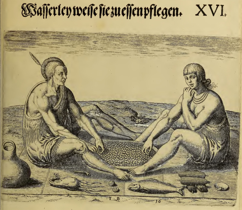 Wasserlen weise sie zu essen pflegen. XVI.