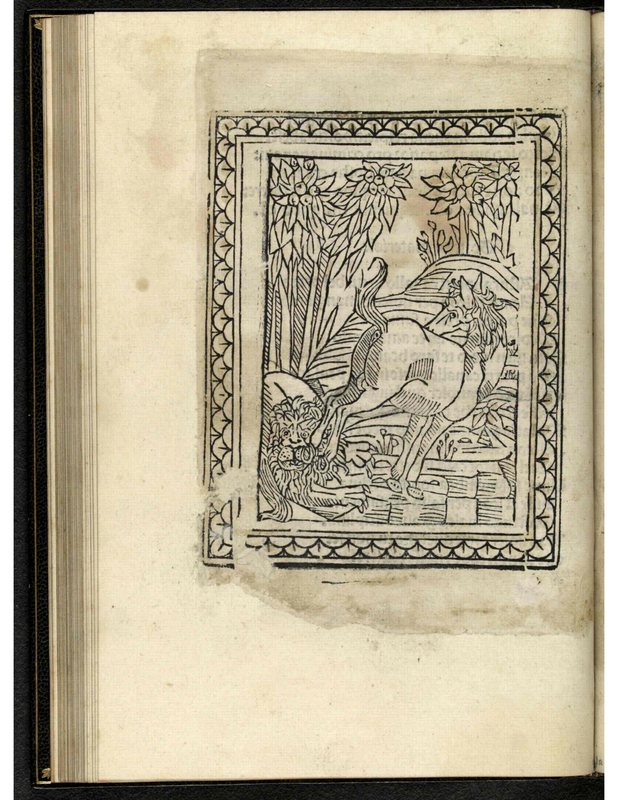 [The Lion and the Angry Horse]