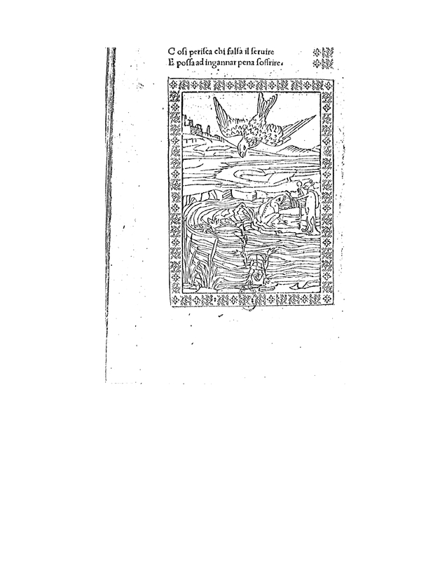 De Mure Et Rana. .F. IIII.