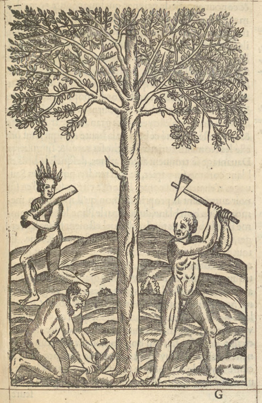 [Indigenous Brazilian men chop down a tree]