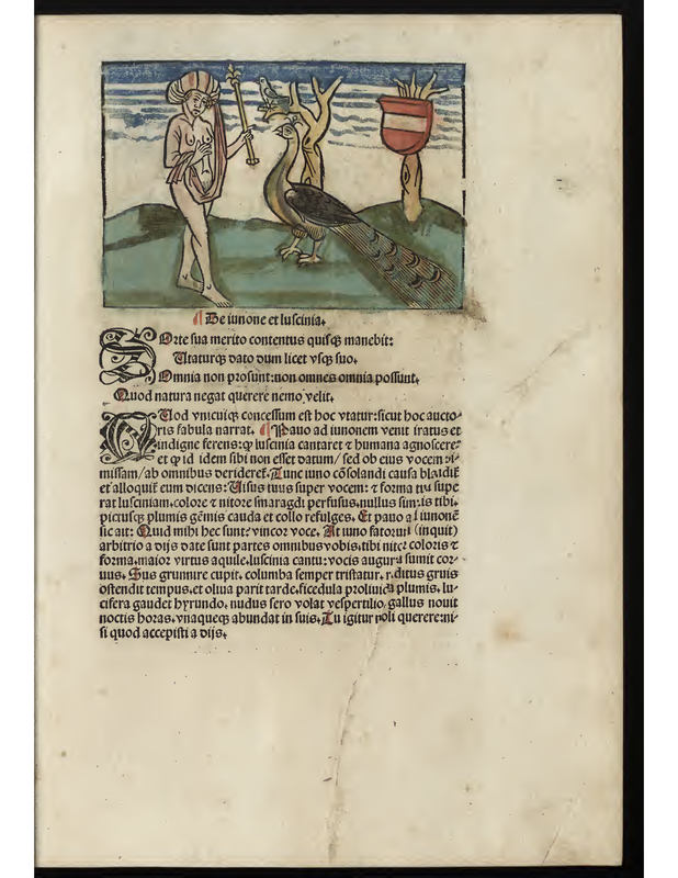Le iunone et luscinia