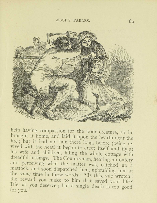 The Countryman and the Snake