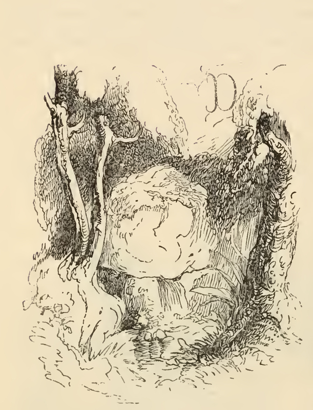 [The Fountain Which Quixote and Sancho Found Relief In]
