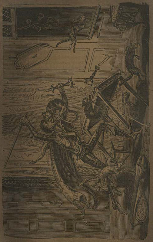 [Of How Don Quixote was Scratched by Cats]