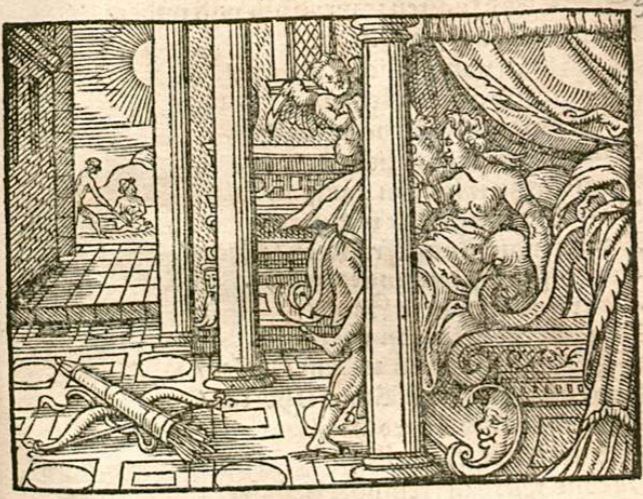 Leucothea in ein Weyrauchstauden