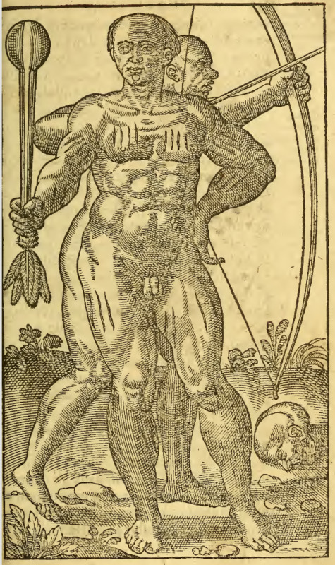 [Two Tupinambá men with weapons]