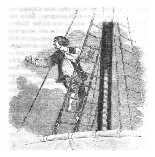[Cabin boy first sees Brobdingnag]