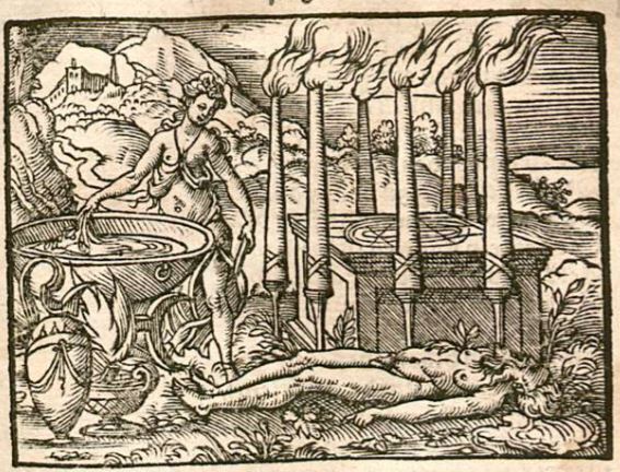 Aeson grauw und alt/wirdt jünger