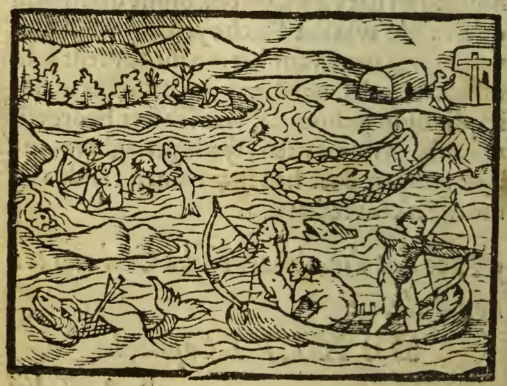 [Tupinambá people fish along the coast]
