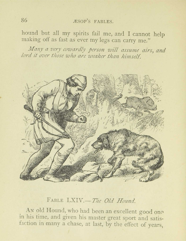 The Old Hound