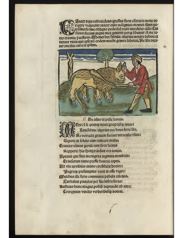 Be Afino et Pelle Leonis