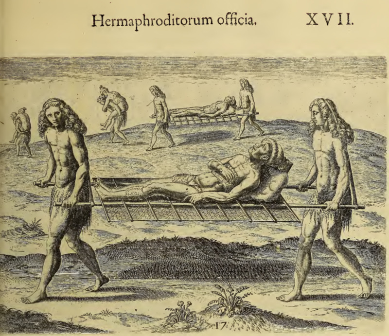 Hermaphroditorum officia. XVII.