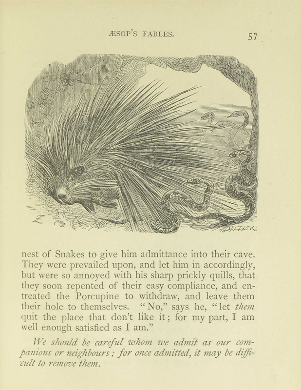 The Porcupine and the Snakes