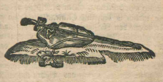 [Gulliver’s hat and sword]