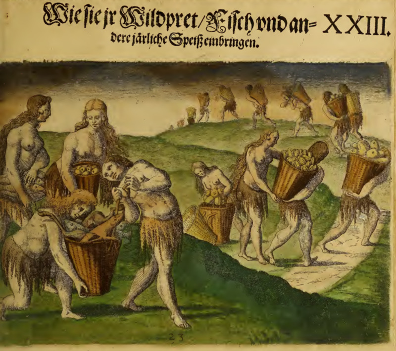 Wie sie ir Wildpret, fisch und andere järliche Speiß, einbringen. XXIII.