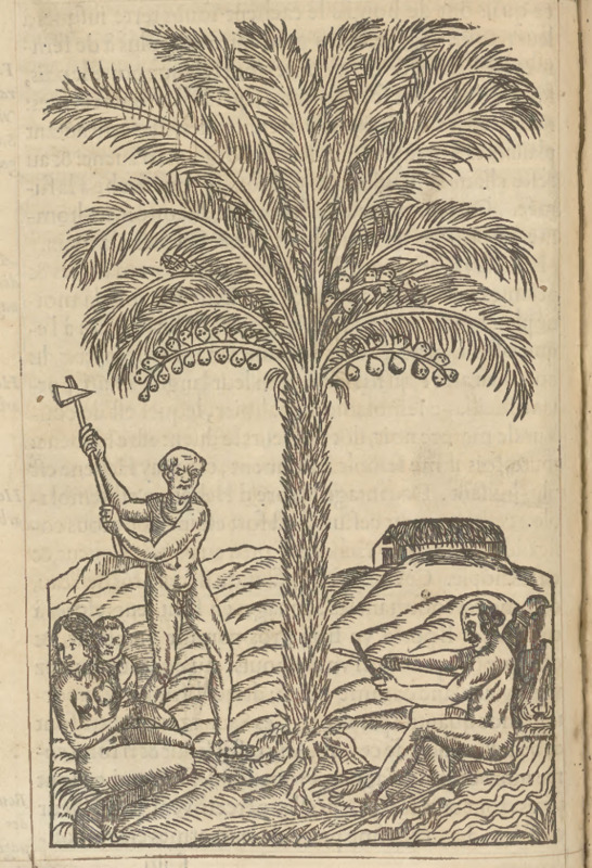 [An Indigenous Brazilian man chops down a tree]