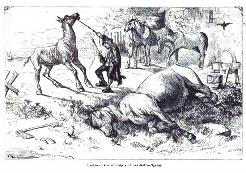 Used to all kinds of drudgery till they died. - Page 295