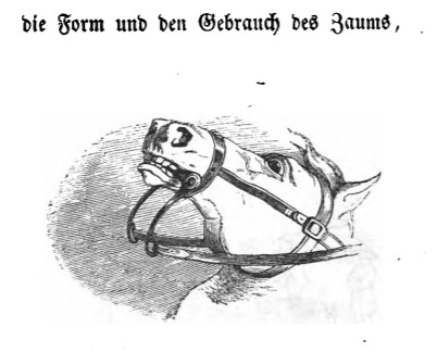 die Form und den Gebrauch des Zaums