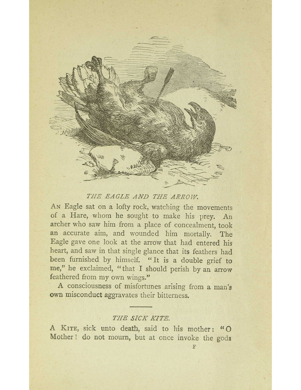 The Eagle and the Arrow