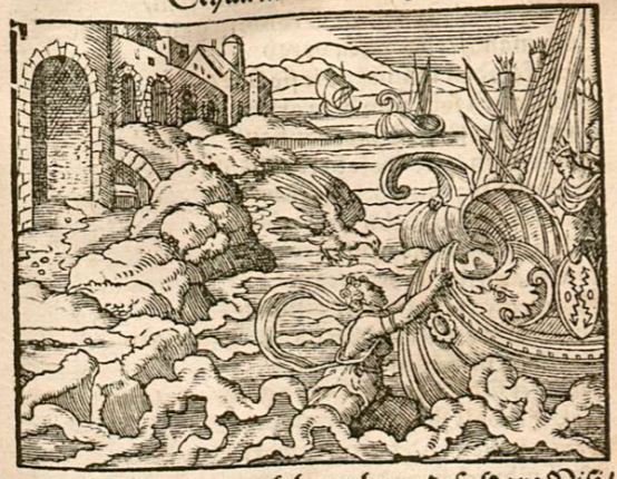Scylla in einen Vogel