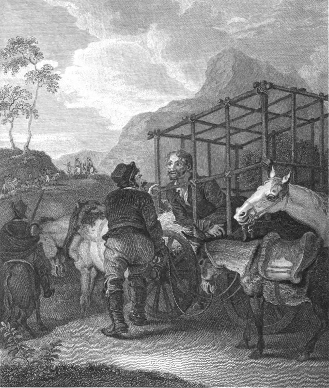 Don Quixote in the Enchanted Cage