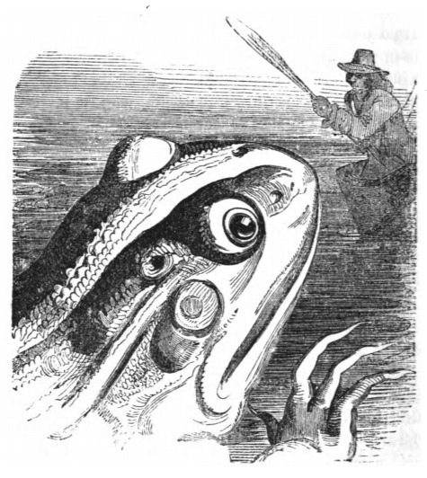[A giant frog from Brobdingnag looks at Gulliver in his boat]