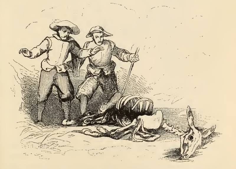 [Two Regidor's Find the Skeletal Carcass of a Mule]